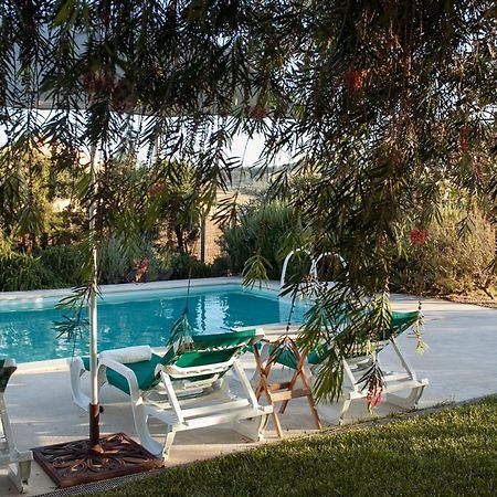 Casa Das Alfazemas Com Piscina, Jardim E Snooker Adao Lobo Екстер'єр фото